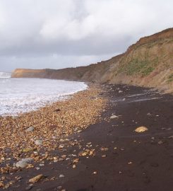 Brook Bay