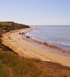 Brook Bay
