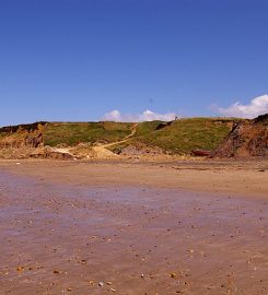 Brook Bay