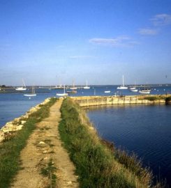 Newtown Nature Reserve – National Trust