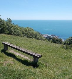 National Trust – Ventnor Downs