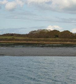 Newtown Nature Reserve – National Trust