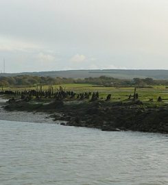 Newtown Nature Reserve – National Trust