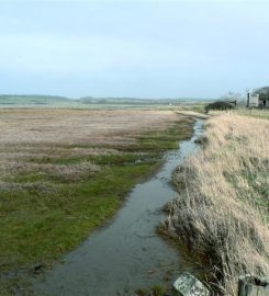 Newtown Nature Reserve – National Trust