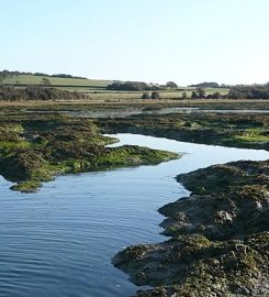 Newtown Nature Reserve – National Trust