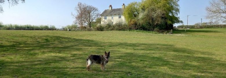 Somerton Farm Holiday Cottage