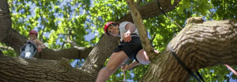 Goodleaf Tree Climbing