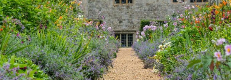 National Trust – Mottistone Gardens