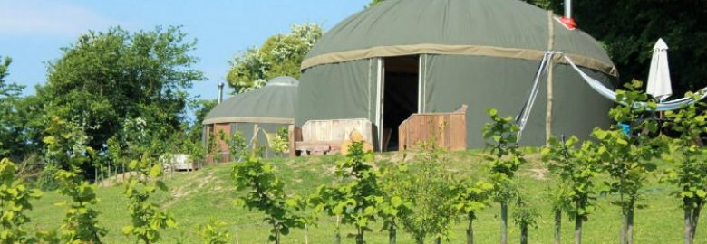 Luxury Yurts on The Garlic Farm