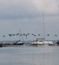 Newtown Nature Reserve – National Trust