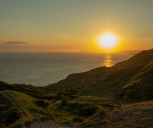 ventnor downs